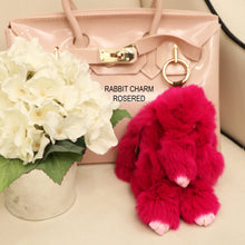 Load image into Gallery viewer, RABBIT CHARM